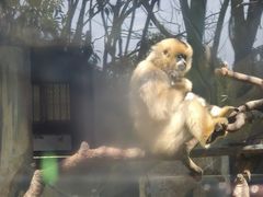 -宁波野生动物园