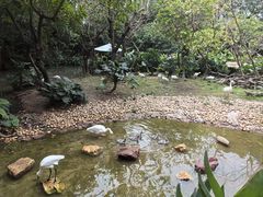 -广州长隆飞鸟乐园