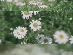 -西湖风景区-江洋畈生态公园