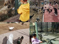 -水上乐园·欢乐世界