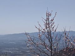 -北京凤凰岭