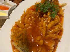 -大鸭梨烤鸭(左家庄店)