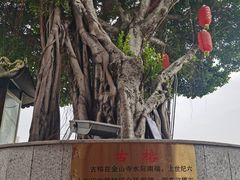 -仓山金山寺