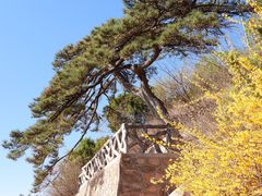 -北京西山国家森林公园