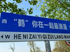 -盐城丹顶鹤湿地生态旅游区