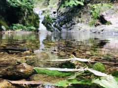 -山沟沟景区