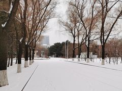 -吉林大学(南岭校区)