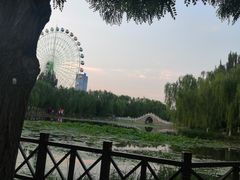 -阅海欢乐岛