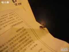 -COSTA COFFEE(西湖天地店)