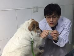 -北京赛佳动物医院