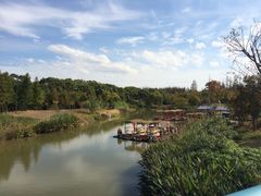 -上海长兴岛郊野公园