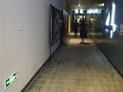 -汉阳天河电影城(王家湾店)