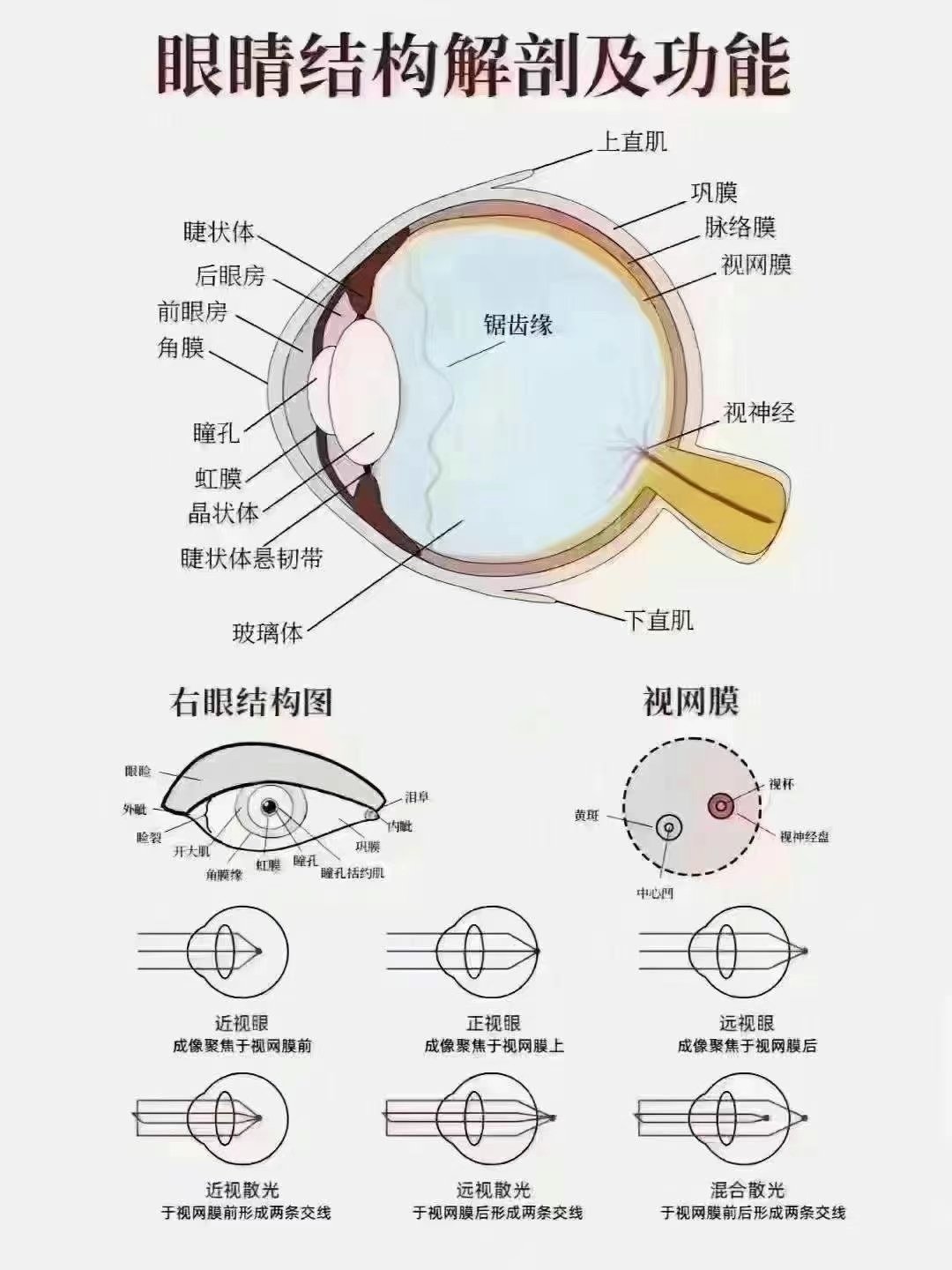 眼前节位置图图片