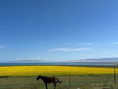 -青海湖国家重点风景名胜区