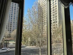 -食神鱼头佛跳墙(百子湾旗舰店)