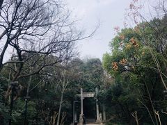 -赭山公园