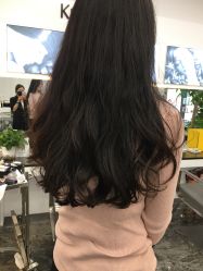 -巴黎劳伦LF