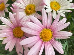 -LouisTime路易时光(蕴川路店)