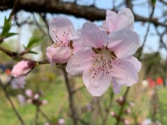 -蜀冈西峰生态公园