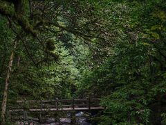 -龙苍沟森林公园