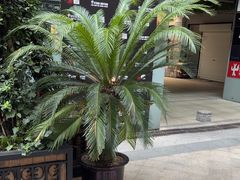-Stone Motion Fitness 释动健身