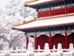 -故宫博物院(故宫)