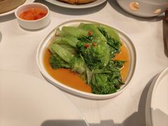 -醉辉皇上海之巅(上海中心大厦店)
