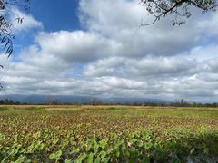 -野鸭湖国家湿地公园
