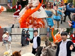 -灵玲国际马戏城