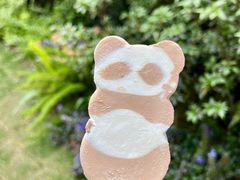 -成都大熊猫繁育研究基地