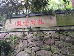 -龙井壹号·茶缘山景宴(龙井村店)