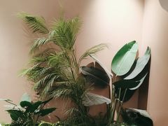 -奈雪的茶(广州万菱汇PRO店)