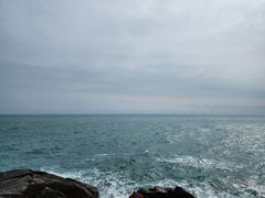 -广东惠东海龟国家级自然保护区