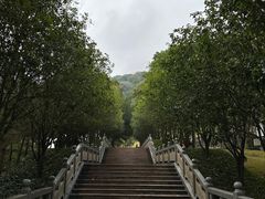 -灵光寺