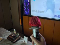 -星聚会KTV(苏州尹山湖歌林公园店)