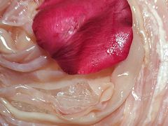 -重庆袁老四火锅(武进万达店)