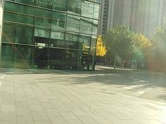 -Gucci(沈阳万象城店)