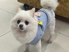 -怪兽屋·羊驼·猫咖·狗咖(俊华广场店)