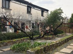 -田园东方蜜桃村的田野营地