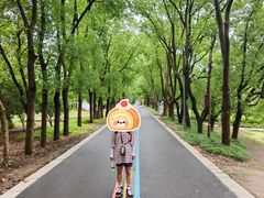 -同里国家湿地公园