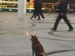 -新荟城(望京店)
