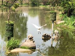 -新江湾城公园