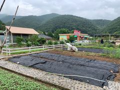 -宁波九龙湖开元度假村