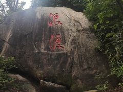 -野狸岛