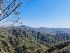 -大岭沟猕猴桃谷风景区