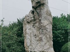 -云岗森林公园