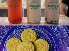 -中华茉莉园