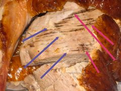 -老北京前门烤鸭(北中路99店)