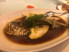 清蒸黄瓜鱼-凯逸轩·匠心粤菜(中城名仕汇店)