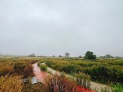 -石棉县孟获城